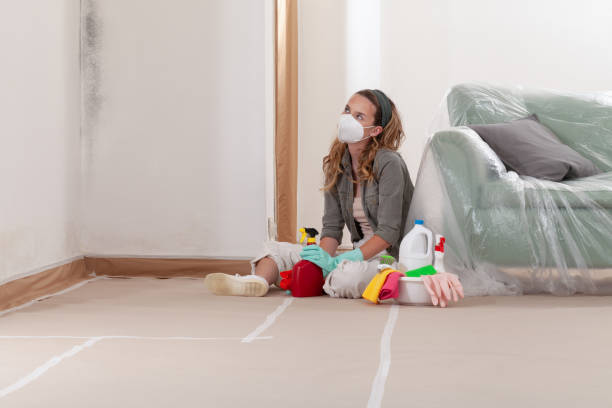 Reliable Mold Remediation contractor in Gasburg, VA by WQB Mold Removal